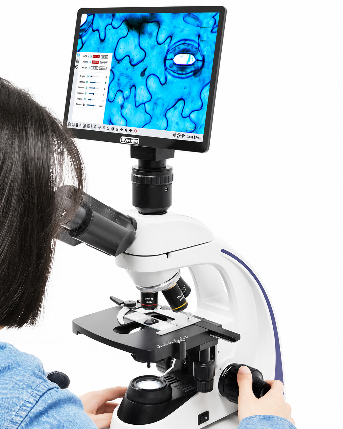 Trinocular (Screen) Microscope